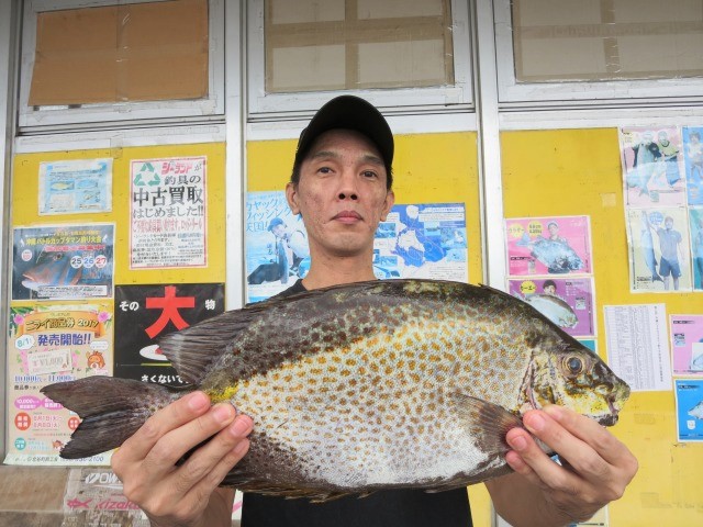 週間 月別釣果情報