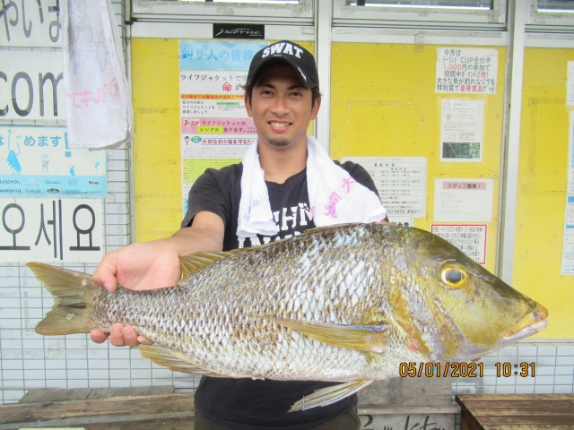 週間 月別釣果情報