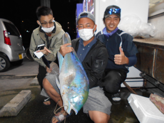 週間 月別釣果情報