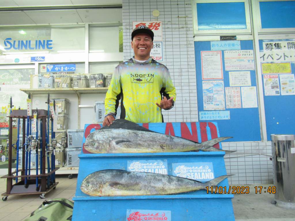 週間・月別釣果情報