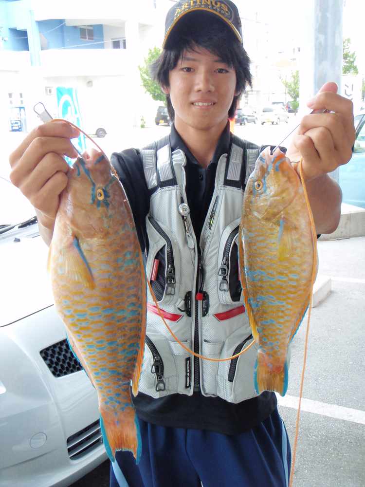 週間 月別釣果情報