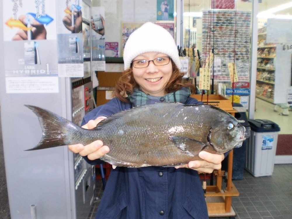 週間 月別釣果情報 週間 月別釣果情報