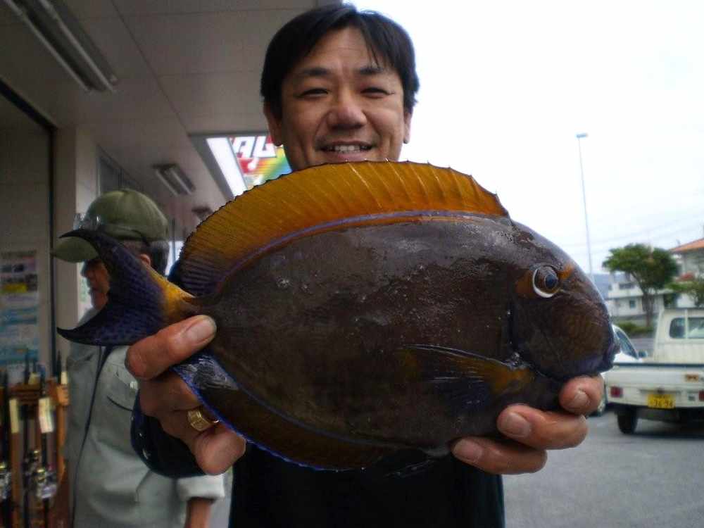即日発送 週間・月別釣果情報 ドラゴンボールカード