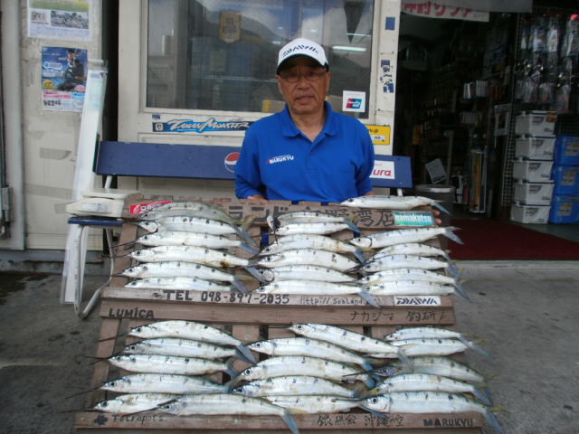 週間・月別釣果情報