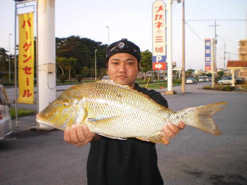 週間・月別釣果情報