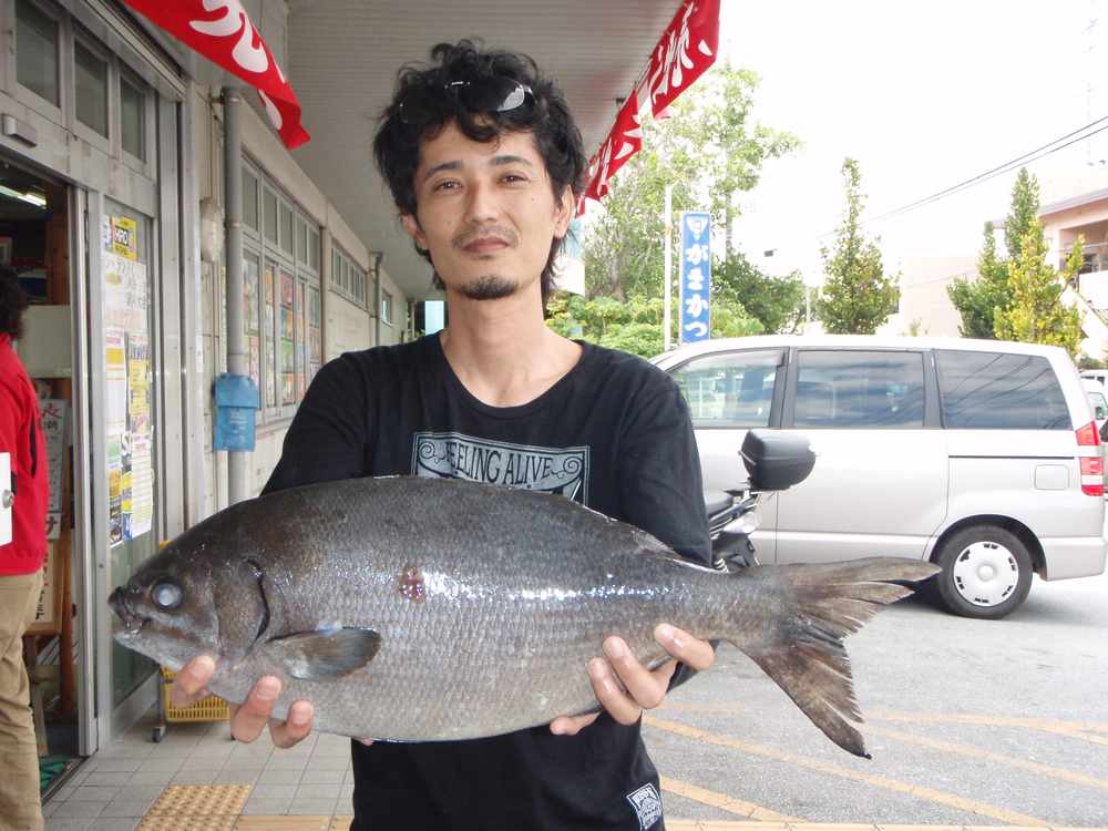 週間・月別釣果情報