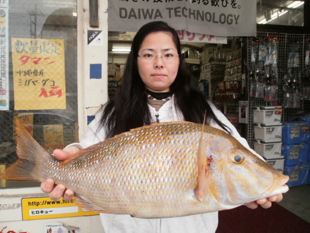 週間・月別釣果情報
