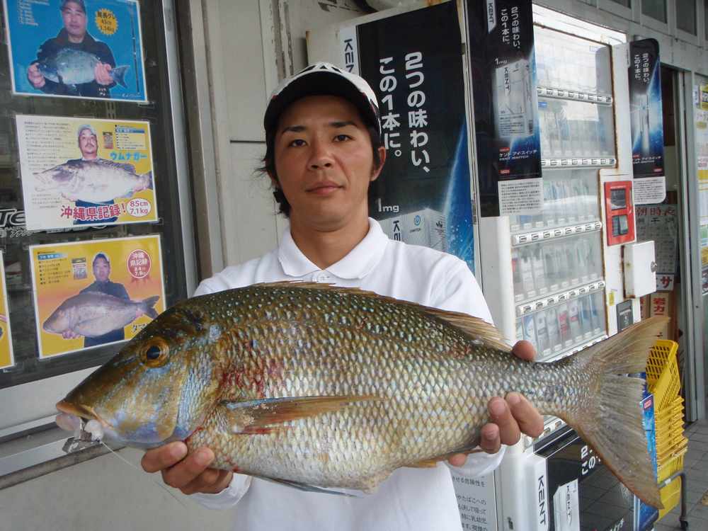 週間・月別釣果情報