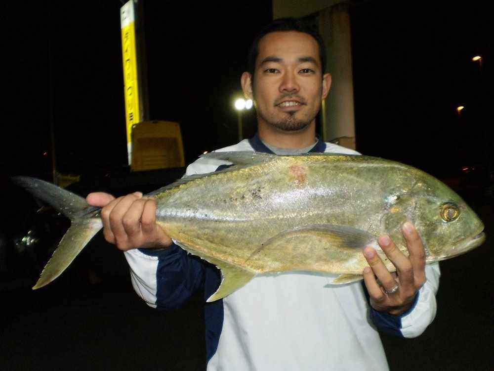 週間・月別釣果情報
