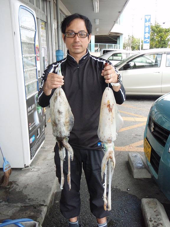 週間 月別釣果情報